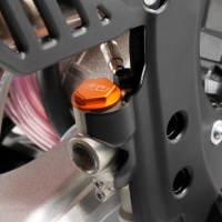 REAR BRAKE RESERVOIR CAP